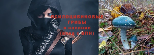 твердый Михайлов